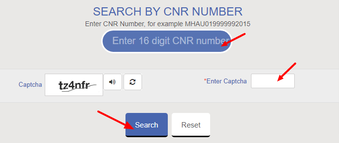 By CNR Number