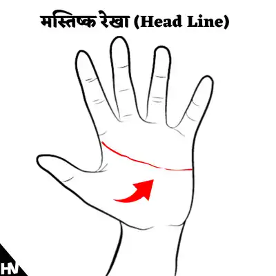 मस्तिष्क रेखा (Head Line)